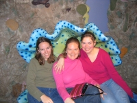 3-girls-in-a-shell